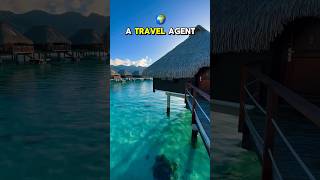 Become a work-from-home remote travel agent as your new career in 2024 !💖😍 #travelagent