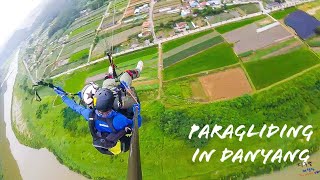 단양 패러글라이딩, Paragliding in Danyang