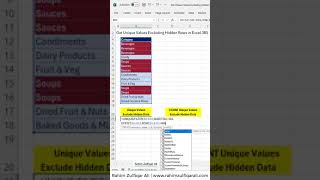 Get Unique Values from a List Excluding Hidden Rows in Microsoft #Excel 365 #shorts