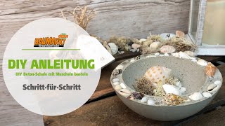 DIY Beton-Schale mit Muscheln basteln | GLOBUS BAUMARKT