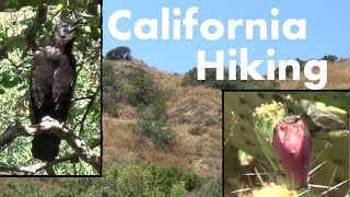 Holes, crows, and cacti  oh my! California hiking vlog #2