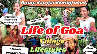 Goan Village Lifestyle|Rainy Day Gardening Work||some old Traditions 😁| #konkanivideos #goanvlogger