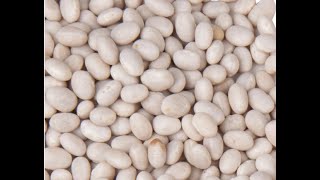 Navy Beans 101 - Tips and Ideas (PART 2)