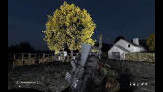 DayZ  PVE Tenement