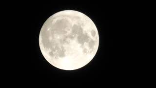 Super Blue Moon - The Lennep View (Remscheid, Germany, August 2023)