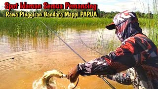 DILUAR DUGAAN !!! UMPAN TURUN LANSUNG DISAMBAR SAAT MANCING NILA BABON PAPUA II Mancing Liar #MLP-71