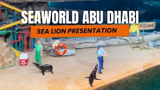 SEA LION PRESENTATION | SEAWORLD ABU DHABI