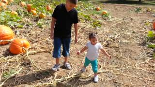 Walking thru the pumpkin patch 9/29/13