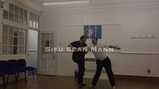 Sifu Sean Mann Wing Chun Kung Fu Application Demo 2017