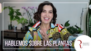 Mi pasión por las plantas