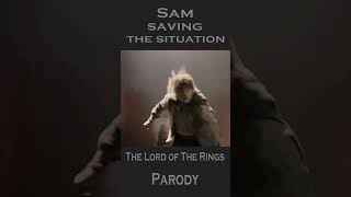 Sam Saving the Situation - Lord of The Rings Parody