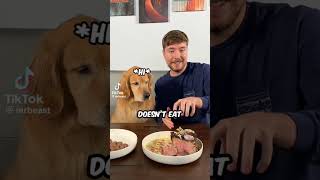 Mr beast pretty