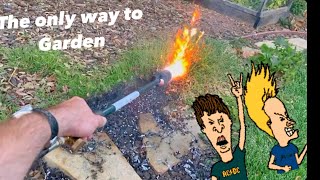 WEED DRAGON 🐲 YARD WORK/WEEDING MADE EASY