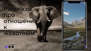 Хадисы Обращение с животными