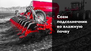 HORSCH Maestro 16 SV + Versatile 2375 ранний сев подсолнечника во влажную почву.