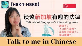 【HSK4/HSK5 Talk to me in Chinese】谈谈新加坡有趣的法律 Talk about Singapore's interesting laws｜Eng Subtitles