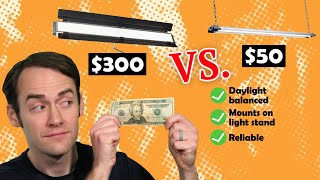 Expensive pro video light vs. cheap work light