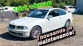 Should You Buy A Cheap E46??