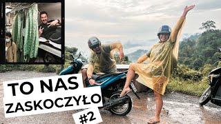 ZŁAPALIŚMY GUMĘ W NAJSTARSZEJ DŻUNGLI ŚWIATA *małpy i dzikie słonie* śpimy na drzewie Tajlandia #2