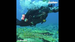 Subnado underwater scooter #gigadgets #diving #underwater #snorkeling #seaworld