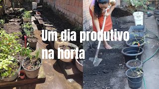 Vem plantar comigo/plantar ajuda na saúde física e mental