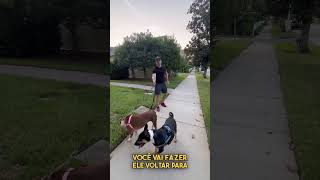 Para de deixar seu cão chegar nos lugares puxando