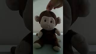 monkey playing red light green light 123 with a bear #short