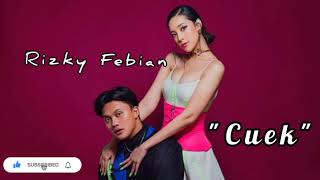 #RizkyFebian - Cuek (Lyrics) #Gariscinta