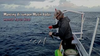 Curi-curi kesempatan mancing Beby tongkol dan Beby cakalang di musim badai.