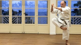 Kata Naihanchi Nidan