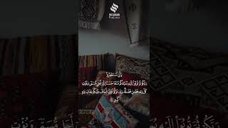 وأن استغفروا ربكم ..‏