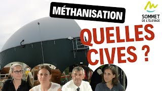 Méthanisation : quelles CIVEs pour respecter la réglementation ?