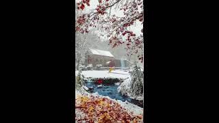 Wonderful view of a house during snow! Love to be inside of that house during Christmas time :)