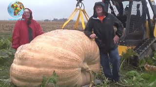 frutti e verdure gigantesche che non avevi mai visto prima | gigantic fruits & vegetables....