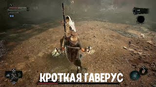 Lords of the Fallen . Кроткая Гаверус.