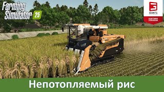 Farming Simulator 25 - "Гиганты" рассказали о работе с рисом