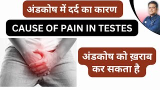 अंडकोष में दर्द का कारण । Cause of pain in testes ।