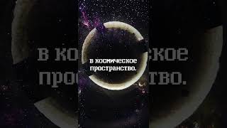 Петробетон — это реализация Русского культурного кода short #shorts   #бетон #дизайнинтерьера #юмор