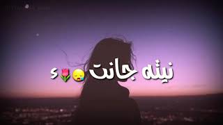 مالي غيرك حبيبي مالي غيرك 🙅‍♀️💖 سلطان العماني🧡 حالات واتساب ❤