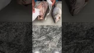 Let’s cook Rockfish #howto #cooking