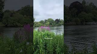 A weekend treat in Richmond, London #nature #london #weekendwalk