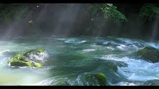 【自然の音と4K 映像】 幻想的な川霧と光芒の中 せせらぎを聴く  30分  |  Relaxing River Sounds 30min