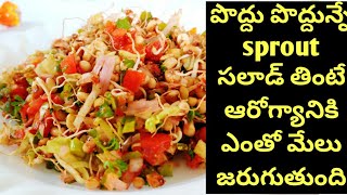 ఈ సలాడ్ తినడం వాళ్ళ చాల లాభాలు ఉన్నాయి | Sprouts salad in telugu | Sprouts in telugu |