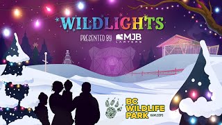 Wildlights 2021