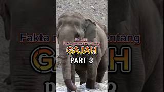 PART 3 Hewan terbesar adalah Gajah #animals #elephant #gajah #hewangajah #viralvideo #trendingshorts