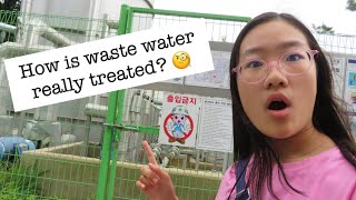 VLOG: Visiting the Seoul Botanical Garden and the Seoul Seonam Wastewater Treatment Plant (Week 4)