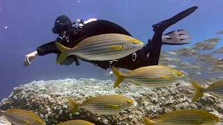 An awesome ride into Underwater