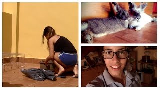 VLOG #10: Primer día de trabajo