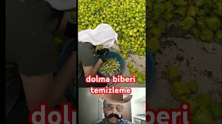 dolma biberi temizleme #dolmabiber #tarım #çiftçi #amazing #traktor