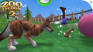 Ethiopian Wolf Breeding Zoo Tycoon 2 African Adventure